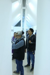 F. N. Souza - Works on Paper - Review of Art Exhibition