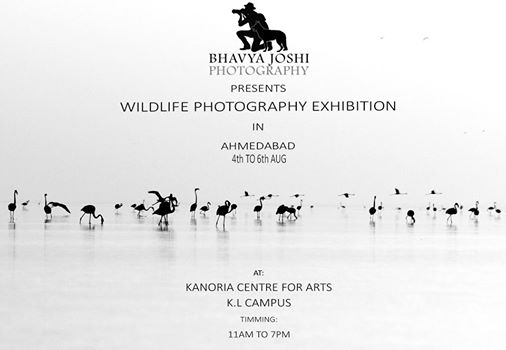 Wildlife Photography Exhibition - Kanoria Centre for Arts, Ahmedabad