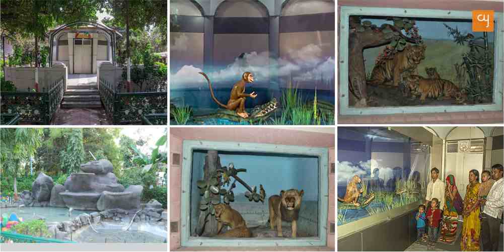reuben-david-natural-history-museum-ahmedabad