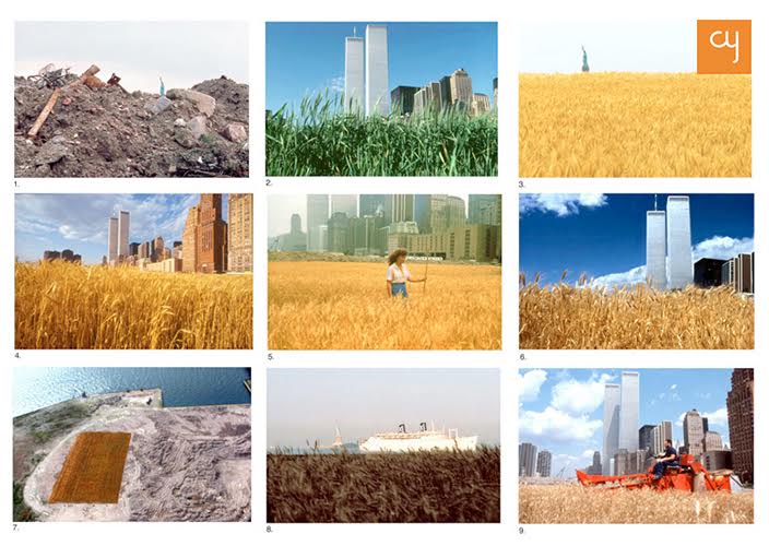 6-9-photos-depicting-the-journey-of-the-wheatfield-project