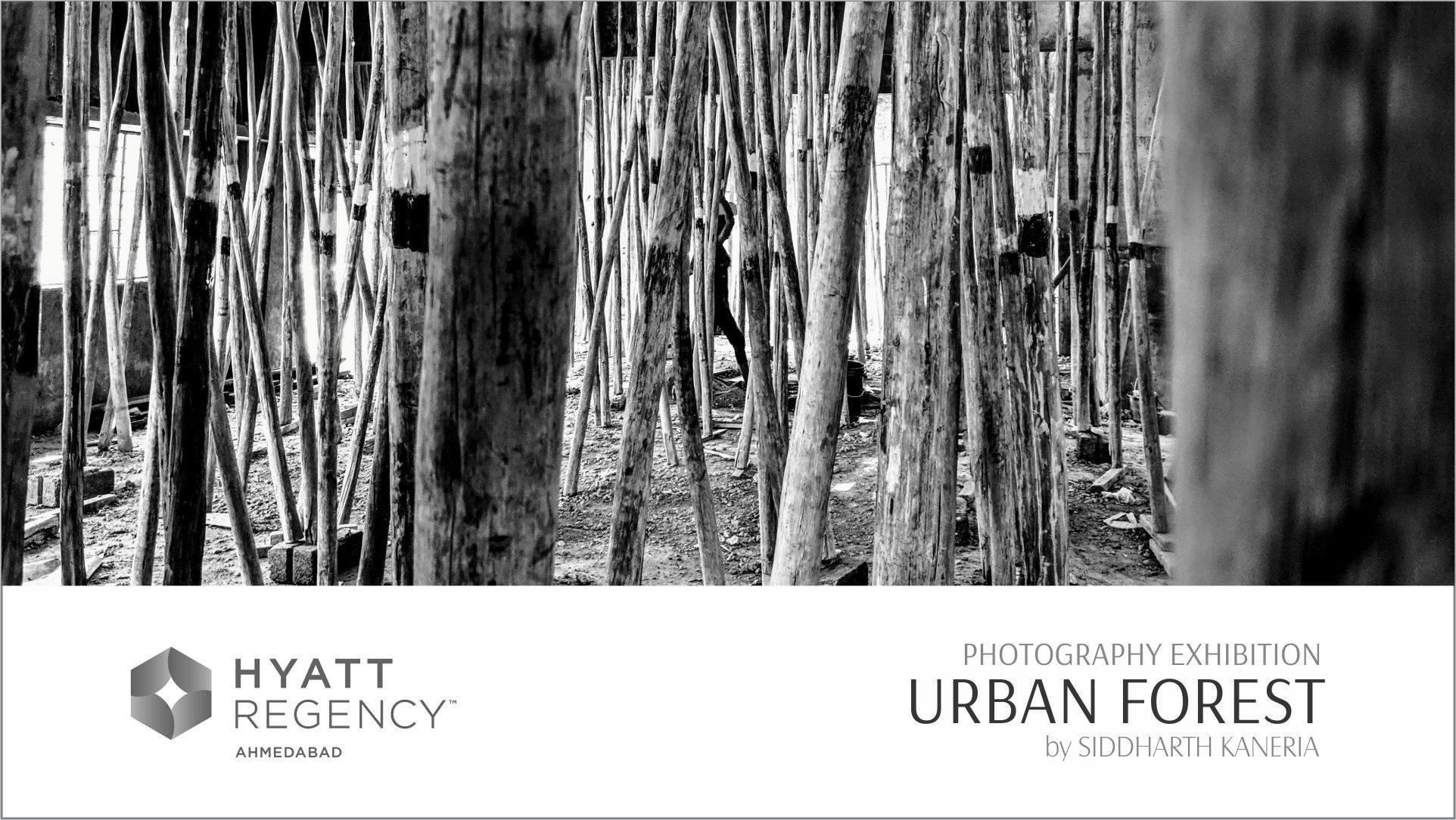 https://creativeyatra.com/wp-content/uploads/2019/10/Urban-Forests-Photography-Exhibition.jpg