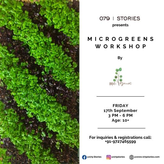 https://creativeyatra.com/wp-content/uploads/2021/09/Micro-Greens-Workshop.jpg