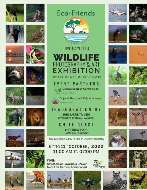 Wildlife Photography & Art Exhibition - Creative Yatra
